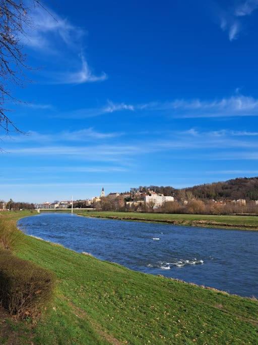 San Riverbank Apartment Przemyśl Esterno foto